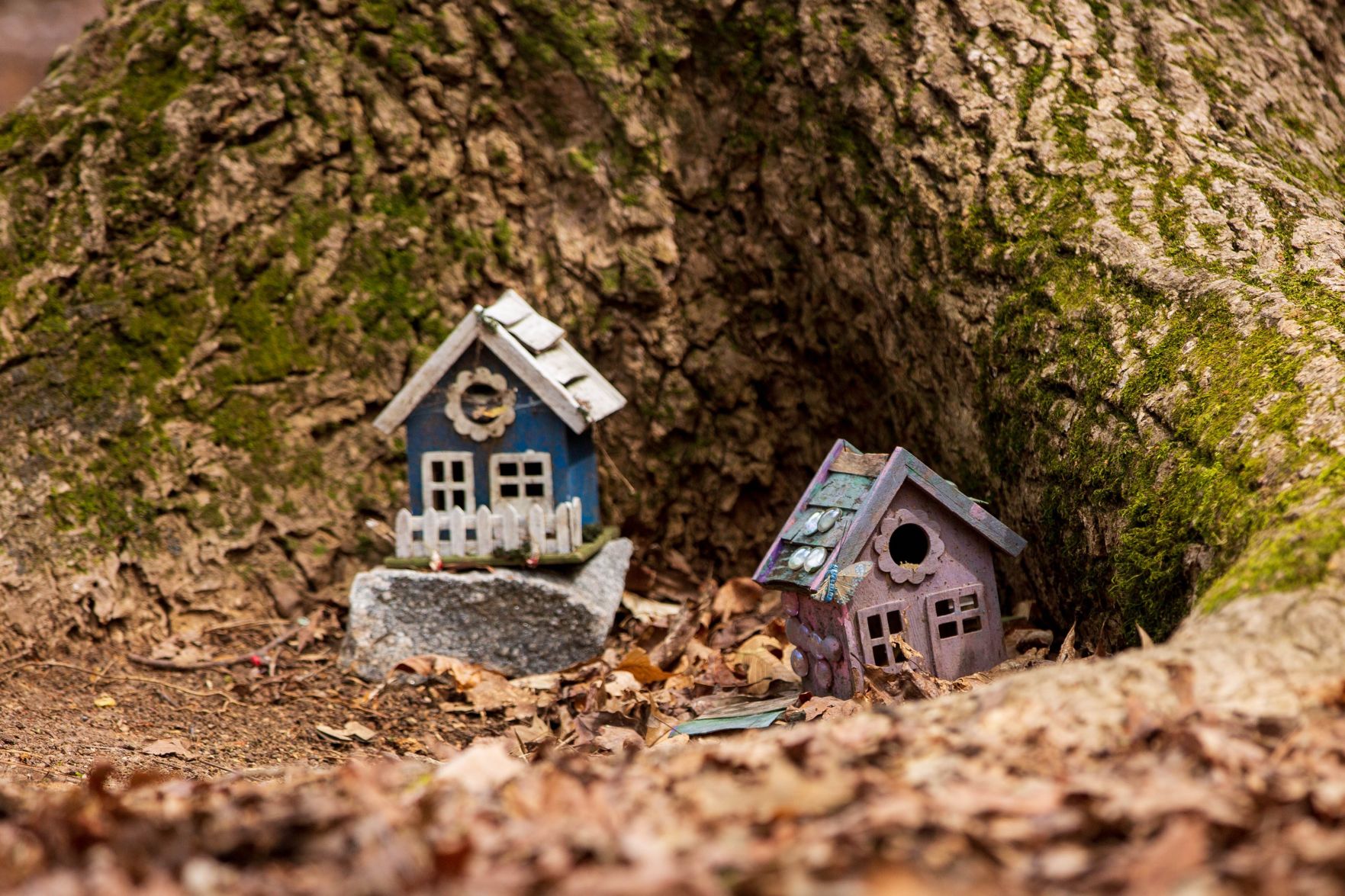 Fairy Forest 2